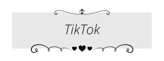 TikTok Panel from Clean Valentine Panels Theme.